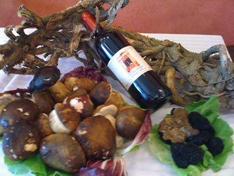 Vino La Vigna, funghi porcini e tartufi